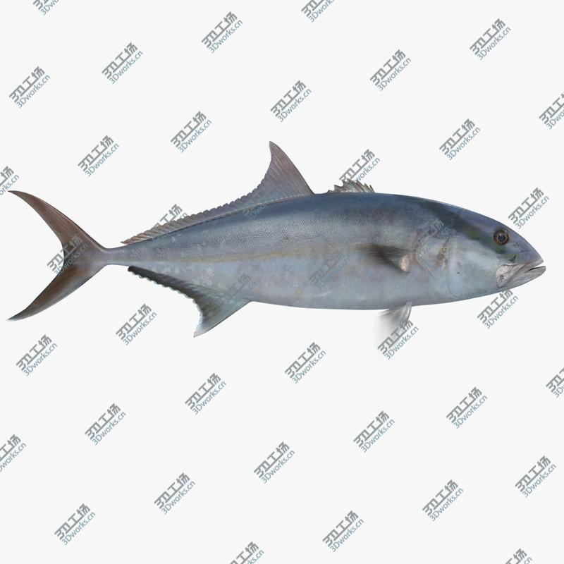 images/goods_img/20210114/Fish Megapack/2.jpg